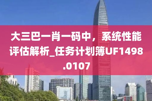 大三巴一肖一碼中，系統(tǒng)性能評(píng)估解析_任務(wù)計(jì)劃簿UF1498.0107