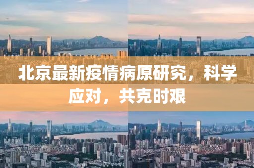 北京最新疫情病原研究，科學(xué)應(yīng)對(duì)，共克時(shí)艱