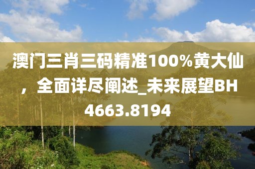 澳門三肖三碼精準(zhǔn)100%黃大仙，全面詳盡闡述_未來展望BH4663.8194