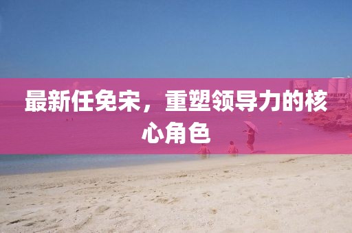最新任免宋，重塑領(lǐng)導(dǎo)力的核心角色