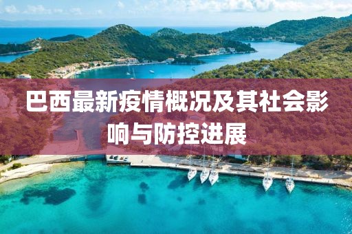 巴西最新疫情概況及其社會(huì)影響與防控進(jìn)展