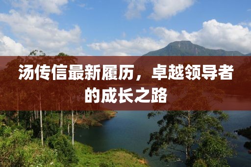 湯傳信最新履歷，卓越領(lǐng)導(dǎo)者的成長(zhǎng)之路