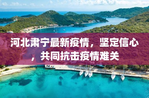 河北肅寧最新疫情，堅(jiān)定信心，共同抗擊疫情難關(guān)