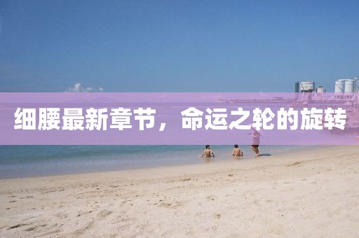 細腰最新章節(jié)，命運之輪的旋轉