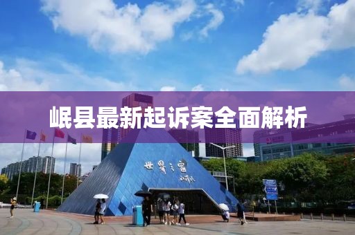 岷縣最新起訴案全面解析