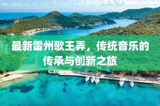 最新雷州歌王弄，傳統(tǒng)音樂的傳承與創(chuàng)新之旅