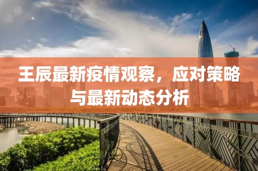 王辰最新疫情觀察，應(yīng)對策略與最新動態(tài)分析
