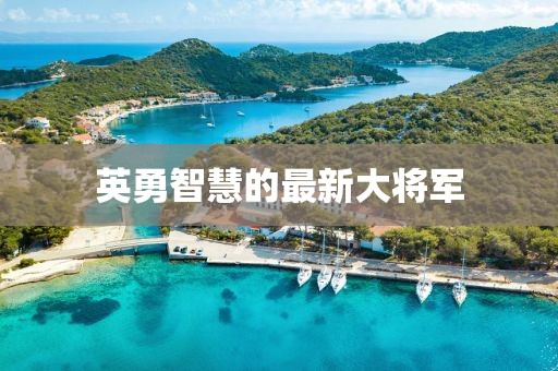 英勇智慧的最新大將軍