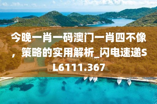 今晚一肖一碼澳門一肖四不像，策略的實用解析_閃電速遞SL6111.367