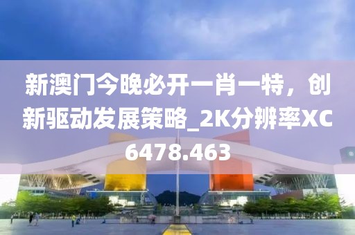 新澳門今晚必開一肖一特，創(chuàng)新驅(qū)動(dòng)發(fā)展策略_2K分辨率XC6478.463