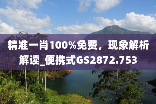 精準(zhǔn)一肖100%免費(fèi)，現(xiàn)象解析解讀_便攜式GS2872.753