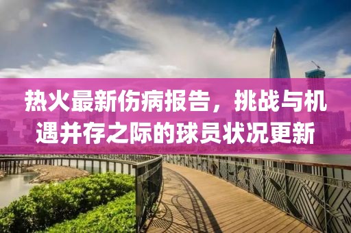 熱火最新傷病報告，挑戰(zhàn)與機遇并存之際的球員狀況更新