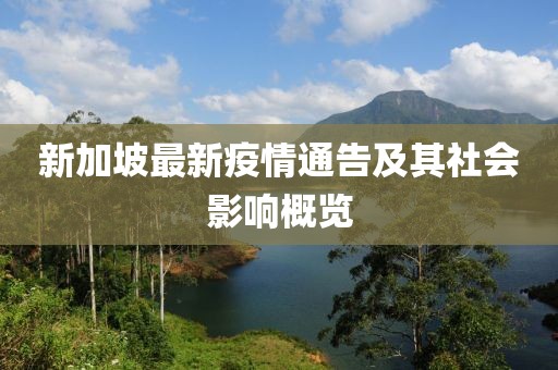 新加坡最新疫情通告及其社會(huì)影響概覽