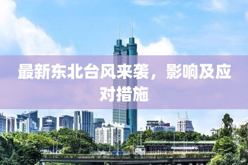 最新東北臺風(fēng)來襲，影響及應(yīng)對措施