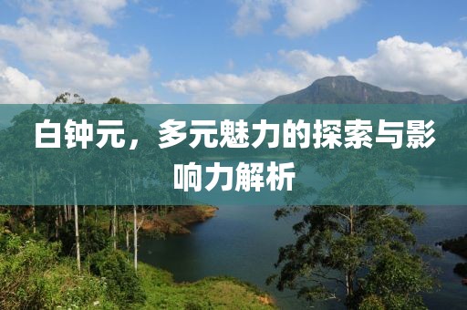 白鐘元，多元魅力的探索與影響力解析