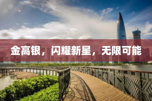 金高銀，閃耀新星，無限可能