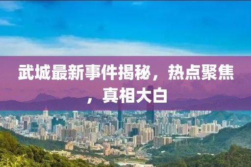 武城最新事件揭秘，熱點聚焦，真相大白