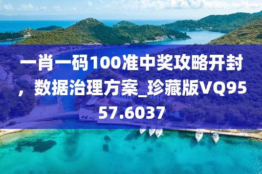 一肖一碼100準中獎攻略開封，數(shù)據(jù)治理方案_珍藏版VQ9557.6037
