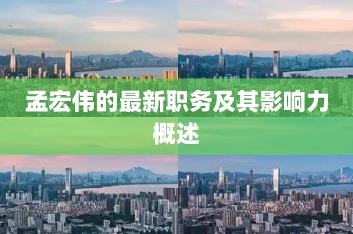 孟宏偉的最新職務(wù)及其影響力概述