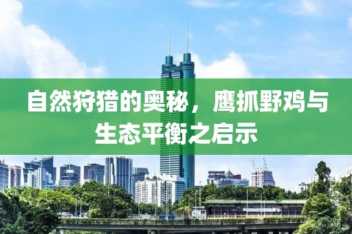 自然狩獵的奧秘，鷹抓野雞與生態(tài)平衡之啟示