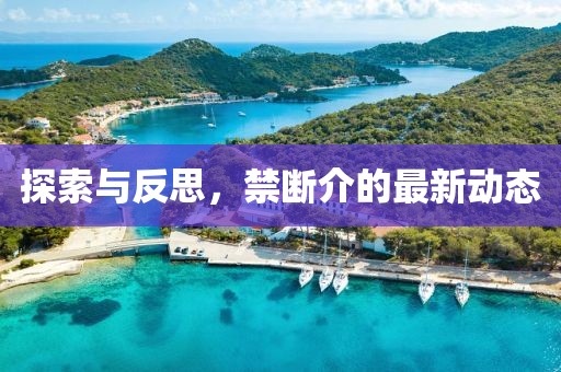 探索與反思，禁斷介的最新動(dòng)態(tài)