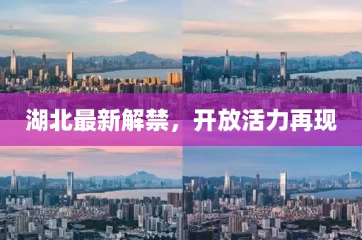 湖北最新解禁，開放活力再現(xiàn)