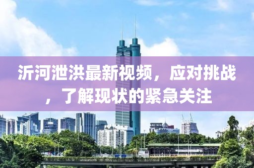 沂河泄洪最新視頻，應對挑戰(zhàn)，了解現(xiàn)狀的緊急關(guān)注
