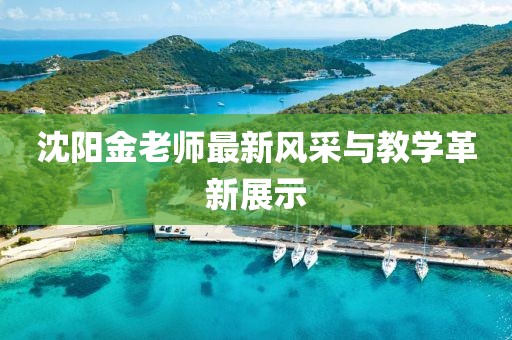 沈陽金老師最新風(fēng)采與教學(xué)革新展示