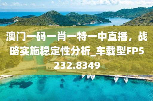 澳門一碼一肖一特一中直播，戰(zhàn)略實(shí)施穩(wěn)定性分析_車載型FP5232.8349