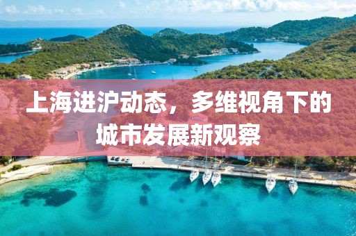 上海進滬動態(tài)，多維視角下的城市發(fā)展新觀察