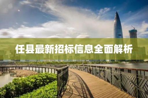 任縣最新招標(biāo)信息全面解析