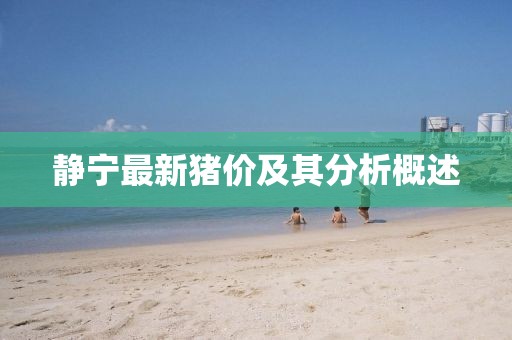 靜寧最新豬價及其分析概述