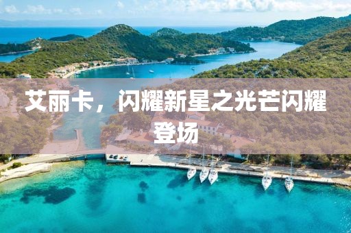 艾麗卡，閃耀新星之光芒閃耀登場