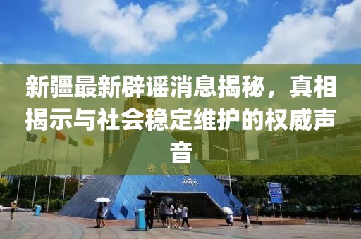 新疆最新辟謠消息揭秘，真相揭示與社會穩(wěn)定維護的權(quán)威聲音