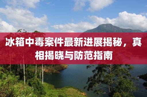 冰箱中毒案件最新進(jìn)展揭秘，真相揭曉與防范指南