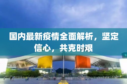 國內(nèi)最新疫情全面解析，堅定信心，共克時艱