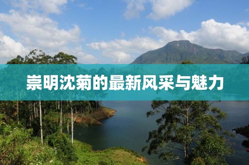 崇明沈菊的最新風(fēng)采與魅力