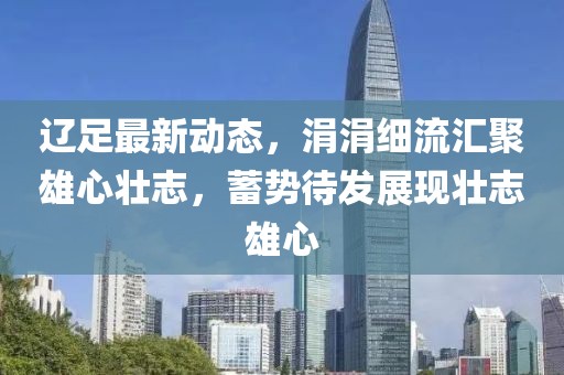 遼足最新動態(tài)，涓涓細(xì)流匯聚雄心壯志，蓄勢待發(fā)展現(xiàn)壯志雄心
