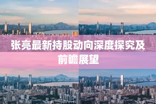 張亮最新持股動(dòng)向深度探究及前瞻展望