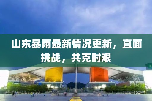 山東暴雨最新情況更新，直面挑戰(zhàn)，共克時艱