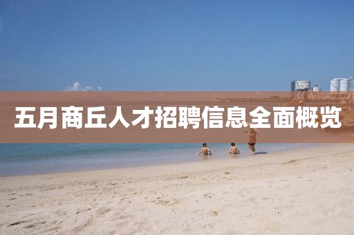 五月商丘人才招聘信息全面概覽