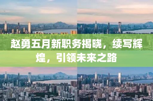 趙勇五月新職務(wù)揭曉，續(xù)寫輝煌，引領(lǐng)未來之路