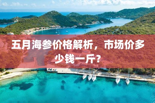 五月海參價(jià)格解析，市場(chǎng)價(jià)多少錢(qián)一斤？
