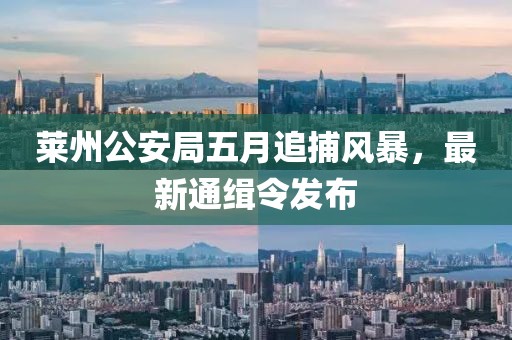 萊州公安局五月追捕風(fēng)暴，最新通緝令發(fā)布