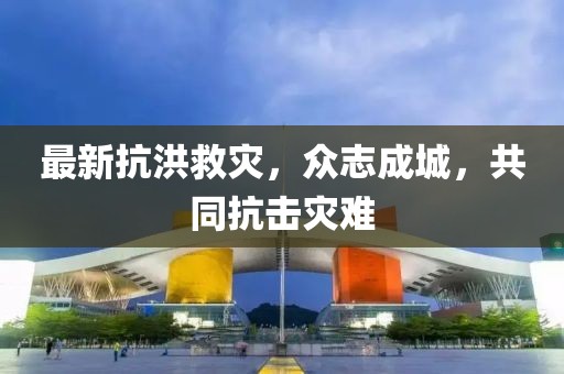 最新抗洪救災(zāi)，眾志成城，共同抗擊災(zāi)難