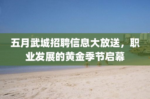 五月武城招聘信息大放送，職業(yè)發(fā)展的黃金季節(jié)啟幕