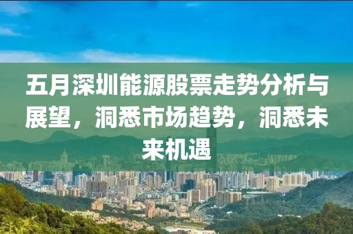 五月深圳能源股票走勢分析與展望，洞悉市場趨勢，洞悉未來機遇