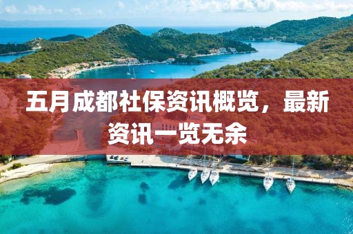 五月成都社保資訊概覽，最新資訊一覽無余