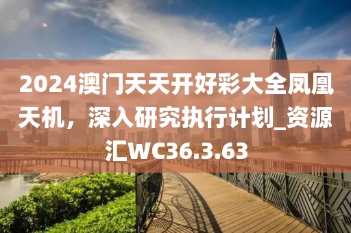 2024澳門天天開好彩大全鳳凰天機，深入研究執(zhí)行計劃_資源匯WC36.3.63