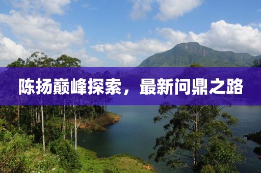 陳揚(yáng)巔峰探索，最新問鼎之路